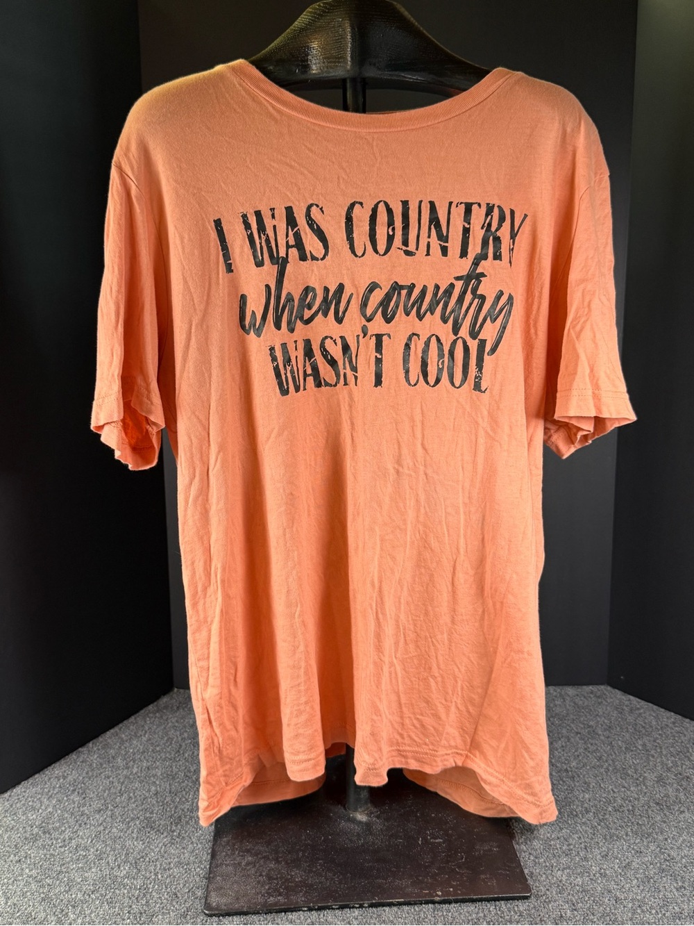 Bella + Canvas Country When Country Wasn't Cool Graphic Tee L